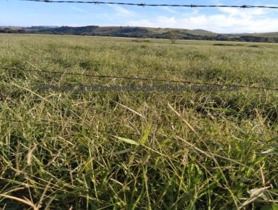 Fazenda para Venda, em Pouso Alegre, bairro 